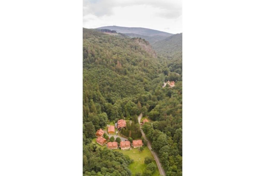 Ferienwohnung Forsthaus Am Brocken, 55 Qm, 2 Schlafzimmer F7 Ilsenburg Exterior foto